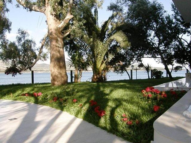 ליגיה Tzeni Villa מראה חיצוני תמונה