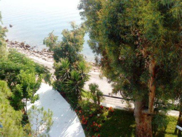 ליגיה Tzeni Villa מראה חיצוני תמונה