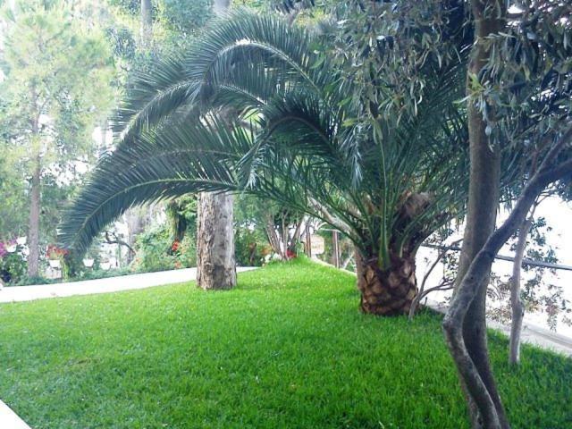 ליגיה Tzeni Villa מראה חיצוני תמונה