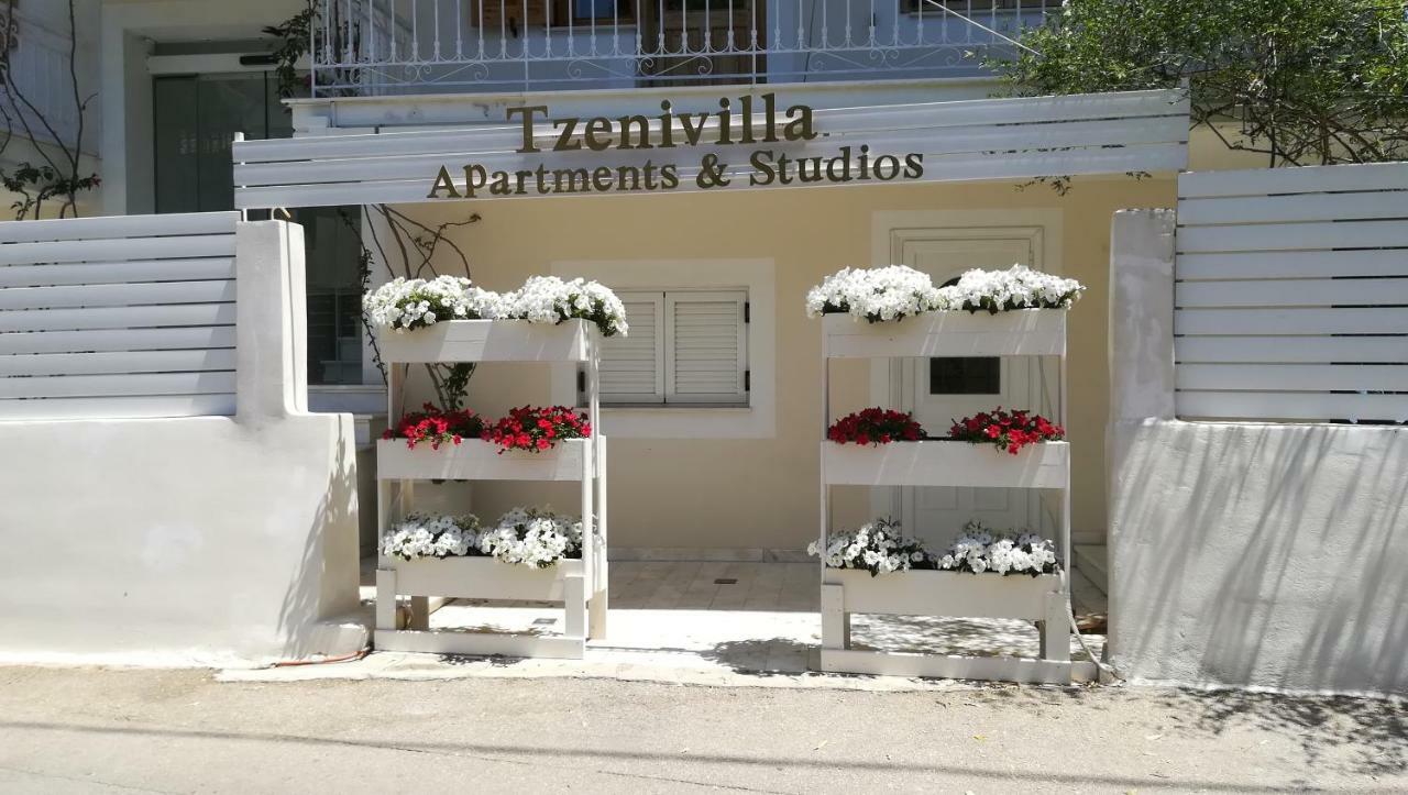 ליגיה Tzeni Villa מראה חיצוני תמונה